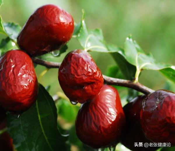 Kaiyun(中国大陆)开云·体育官方网站 红枣，是肝病的“催化器”吗？冷漠：养肝，忌口4物，作念好6事