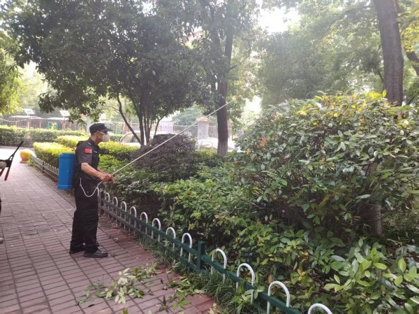 Kaiyun(中国大陆)开云·体育官方网站 警惕“震动的硫酸”：隐翅虫出没岑岭，千万别拍