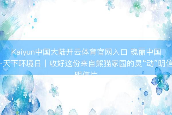 Kaiyun中国大陆开云体育官网入口 瑰丽中国行·天下环境日｜收好这份来自熊猫家园的灵“动”明信片