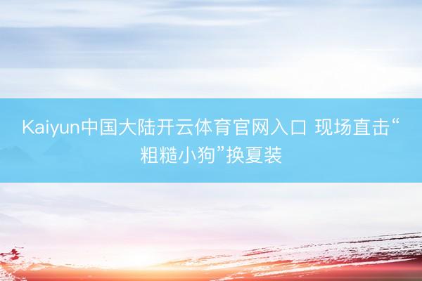 Kaiyun中国大陆开云体育官网入口 现场直击“粗糙小狗”换夏装